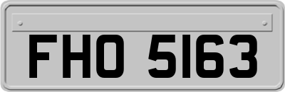FHO5163