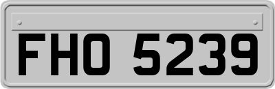 FHO5239