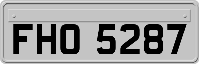 FHO5287
