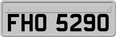 FHO5290