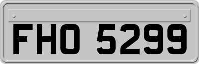 FHO5299
