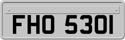 FHO5301