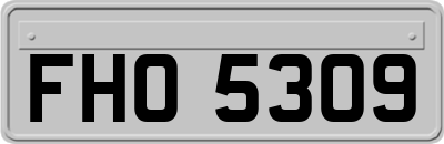 FHO5309