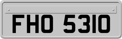 FHO5310