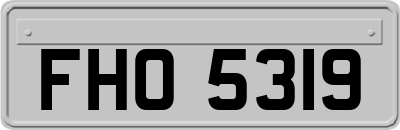 FHO5319
