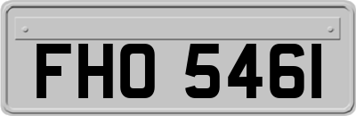 FHO5461