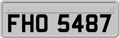 FHO5487