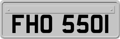 FHO5501