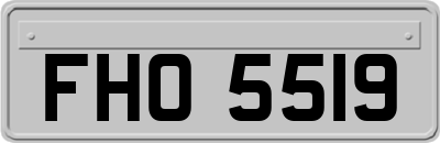 FHO5519
