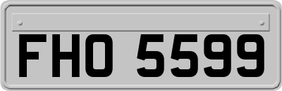 FHO5599