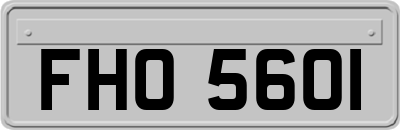 FHO5601