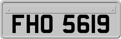 FHO5619