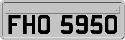 FHO5950