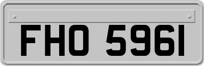 FHO5961