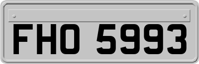 FHO5993