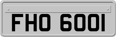 FHO6001
