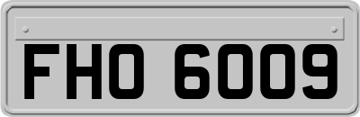 FHO6009