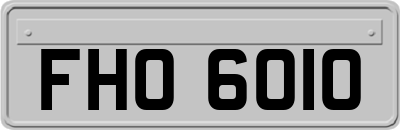 FHO6010
