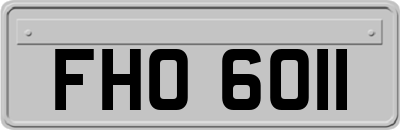 FHO6011