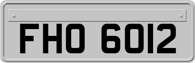 FHO6012