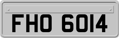 FHO6014