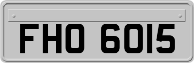 FHO6015