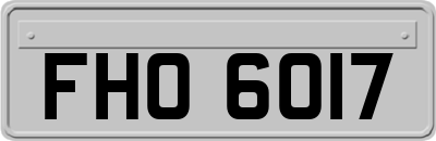 FHO6017
