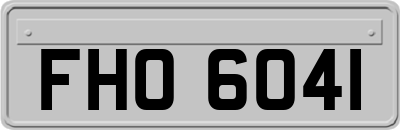 FHO6041