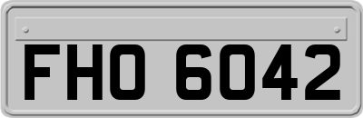 FHO6042
