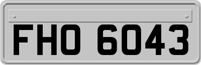FHO6043
