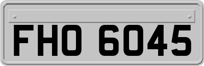 FHO6045