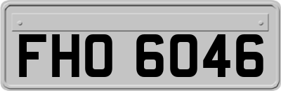 FHO6046
