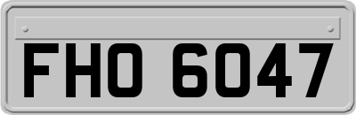 FHO6047