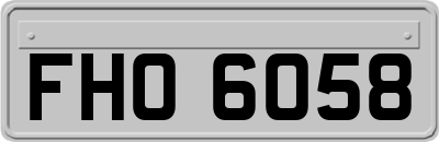 FHO6058