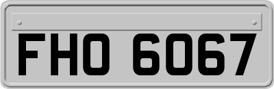 FHO6067