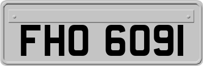 FHO6091