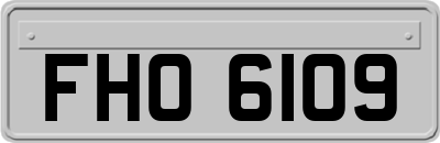 FHO6109