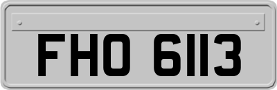 FHO6113