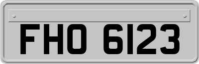 FHO6123
