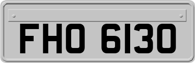 FHO6130