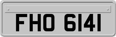 FHO6141