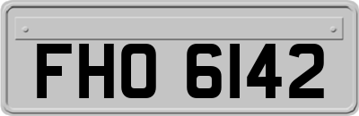 FHO6142