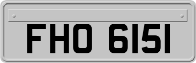 FHO6151