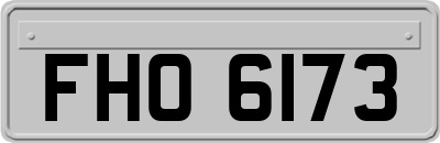 FHO6173