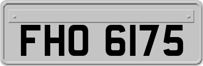 FHO6175