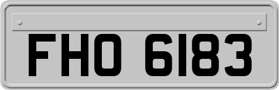 FHO6183