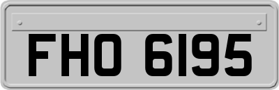 FHO6195