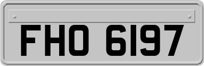 FHO6197