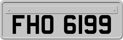 FHO6199