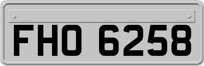 FHO6258